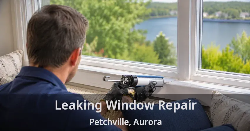 Leaking Window Repair Petchville, Aurora - ON