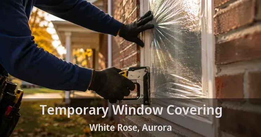 Temporary Window Covering White Rose, Aurora - ON